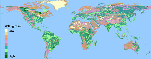 Soil wilting point